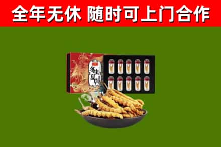 昭通烟酒回收冬虫夏草礼盒.jpg